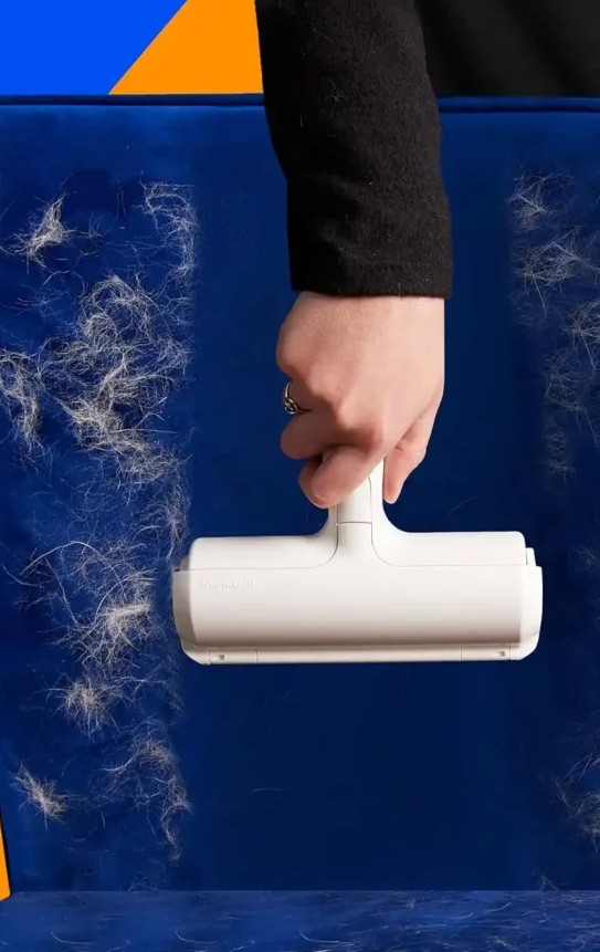The Roller owns the sofa